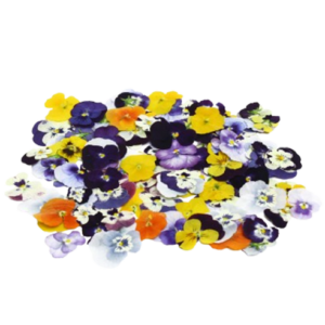 Dry Flower